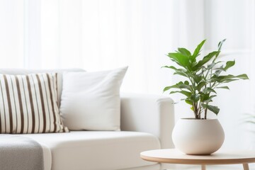 home interior design element close up freshness flower vase on coffee table in living room with background of white colour sofa and pillow daylight cosy comfort home interior background - obrazy, fototapety, plakaty