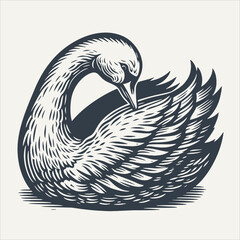 Swan. Vintage woodcut engraving style vector illustration.	