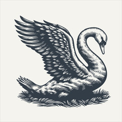 Swan. Vintage woodcut engraving style vector illustration.  © RetroVector