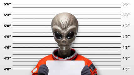 Close-up mugshot of a stereotypical gray-skinned, large-eyed alien wearing an orange spacesuit, standing against a height measurement backdrop with an empty name sign - obrazy, fototapety, plakaty