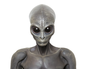 Headshot of an extraterrestrial humanoid with grey skin cut out, in the style of ID or passport photo
