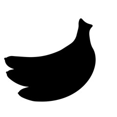 Vector bananas. Bunches of black banana fruits with white stroke isolated on white background, collection of vector illustrations. Bananas silhouette