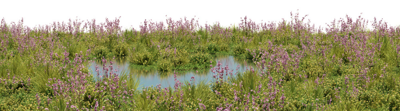 Field of Pink flowers and Grass on the lake, Flowres on the garden in springtime with isolated on transparent background - PNG file, 3D rendering illustration