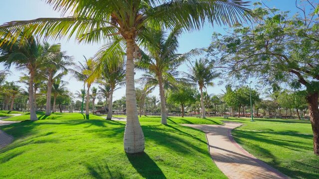 4k, public park oasis with palm trees panoramic view, Yanbu, Saudi Arabia