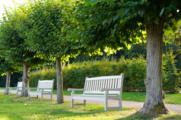 Fototapeta premium White benches in sunny garden