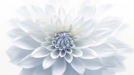 Dahlia petals macro. Chrysanthemum flower head. Floral abstract background. Generative AI. Illustration for banner, poster, cover, brochure or presentation. - obrazy, fototapety, plakaty