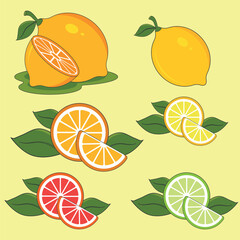 Orange whole and slices of oranges