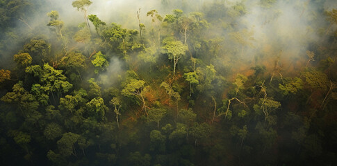 Fototapeta na wymiar Aerial view of misty tropical rainforest