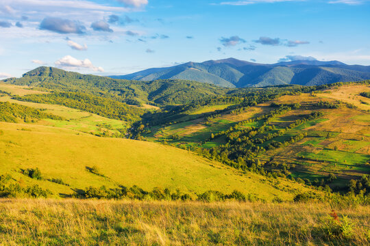 mountainous landscape in autumn. rural fields on the grassy hills. beautiful outdoor scenery of carpathian countryside in evening light