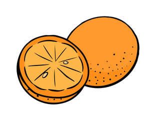 Orange tropical citrus fruit. Healthy food. Garden and harvest. Design for label. Vector flat illustration isolated on white background. Hand drawn outline