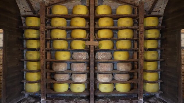 Cellar with parmesan cheese on the shelves
