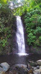 Fototapeta premium Cascada 