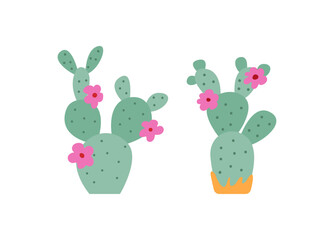 Set of cactuses with pink flowers on isolated background. Vector flat illustration