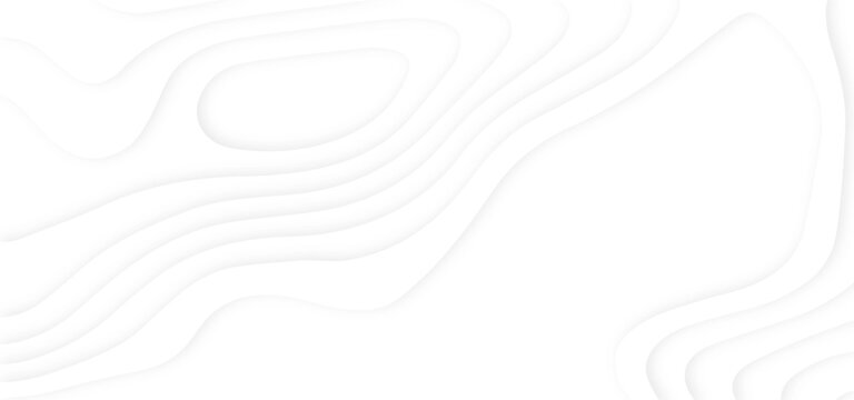 Abstract paper cut white background. Abstract wavy line 3d paper cut white background.