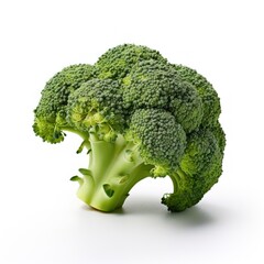 Fresh Broccoli on White Background