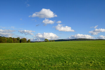 Grassy knoll on an Autumn day with white fluffy clouds and a bright blue sky.