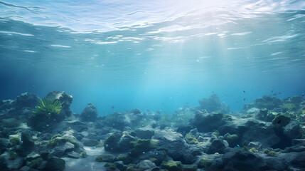 Underwater Sea