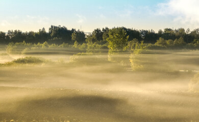 Fototapeta premium Sunrise time bay Lake Sivers . Nature of Latvia, Latgale.