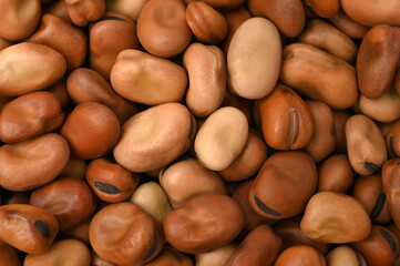 Fava beans, for backgrounds or textures