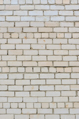 brick wall in the city