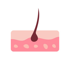 human hair and skin