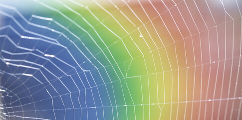 Close-up of a spider web with rainbow colors in the background