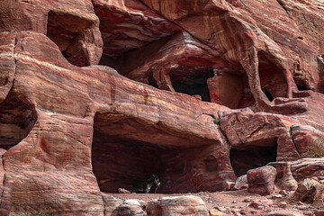 View of the Temples and caves carved into the sandstone rock in the gorge. Petra, Jordan