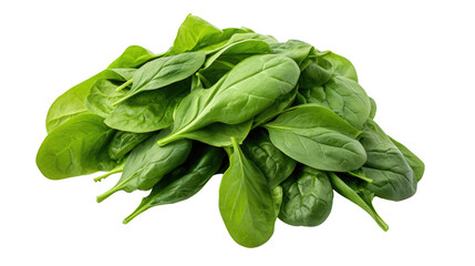 fresh spinach leaves