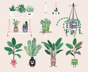 Fototapeta na wymiar Collection of Home plants in flower pots with eyes. Houseplants in trendy hygge style. Urban jungle decor set . Evergreen plants in planters
