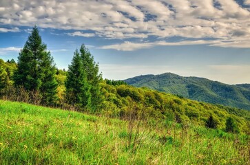 Spring mountain landscape in Polish mountains. Green meadow and forested hills. - 659156079