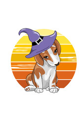 Cute shy beagle in hat