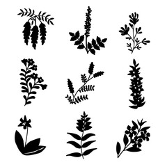Set isolated flowers