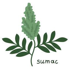 Isolated sumac flower