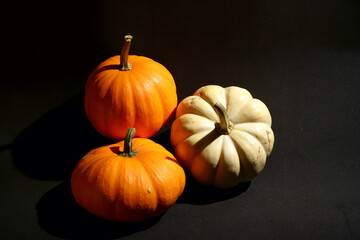halloween pumpkins