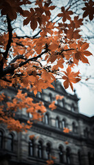 Castle - manor - estate - mountains - English - aristocrats- nobleman - fall - autumn - peak leaves 