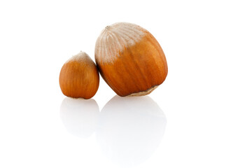 Hazelnut. Fresh organic filbert. Brown hazelnut filbert autumn background concept. Close-up.