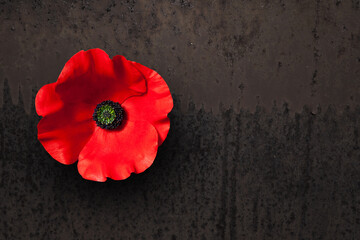 Poppy flower on rusty iron background with place for your text. Decorative flower for Remembrance Day. Memorial Day. Veterans day.