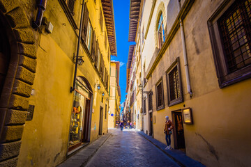 Fototapeta na wymiar Firenze - Italia