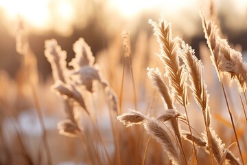 Fototapeta premium A small change in the autumn forest taken in close-up. generative AI