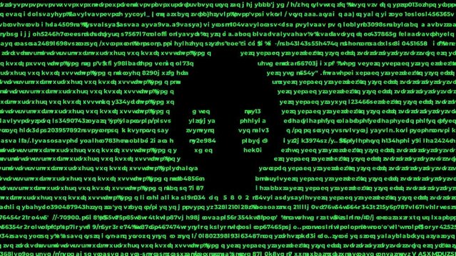 hacking screen.  computer viruses.  a computer screen filled with random numbers with a skull logo.  animation