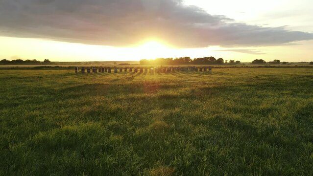 aerial view of the bee hive