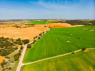 Naklejka premium Aerial view of the endless fields in the region of Castile-La Mancha, Spain