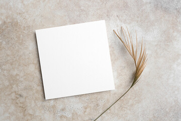 Square paper card mockup with natural botanical decor, copy space for card design, blank invitation or greeting card