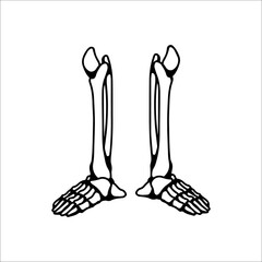 vector illustration of skeleton legs