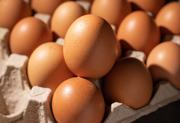 Close-up image of organic chicken eggs of the food ingredients on the restaurant table in the kitchen for cooking. Organic chicken eggs food ingredients concept.