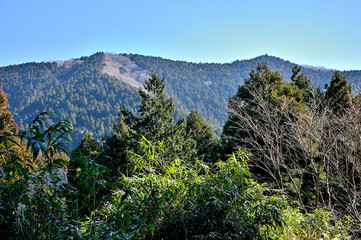 丹沢の旧道　宮ヶ瀬みちより煤ヶ谷高取山を望む
