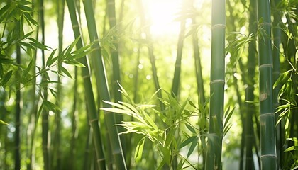 A vibrant bamboo plant illuminated by the golden rays of the sun