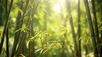 Fototapeta na wymiar A vibrant cluster of bamboo plants up close