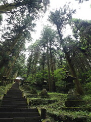 高い木々に囲まれた神社の境内