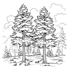Handdrawn Pine Trees Forest Black and White Line Art Illustration